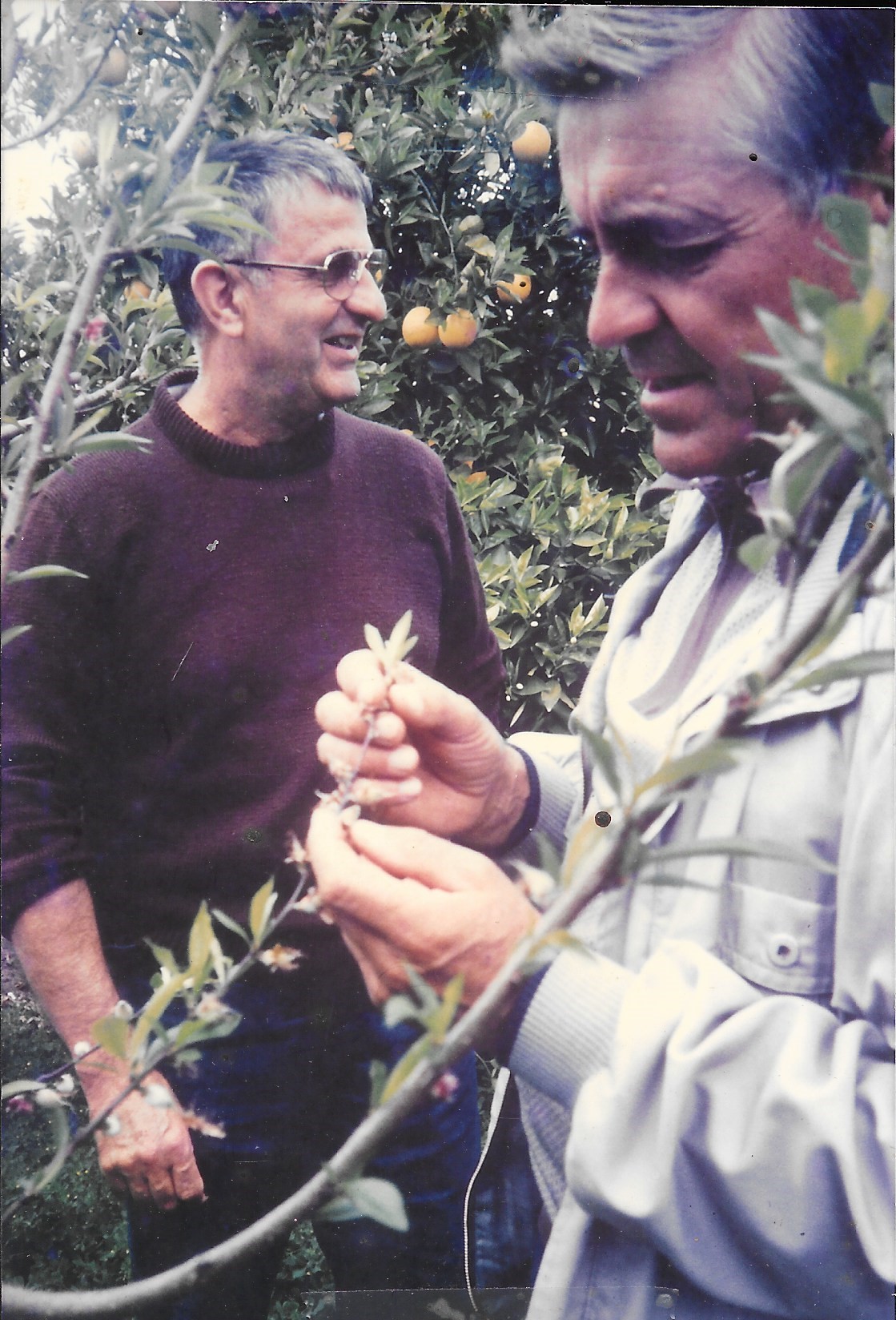 Img221 pierre martin et jean boisdron 1990 burkina faso